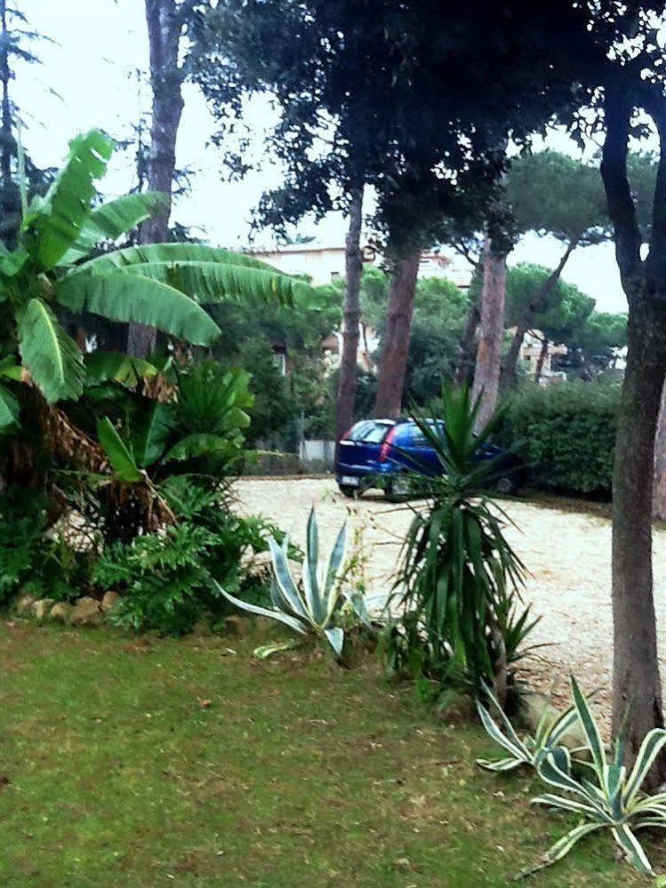 Relais La Canfora Affittacamere Roma